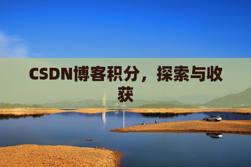 CSDN博客积分，探索与收获